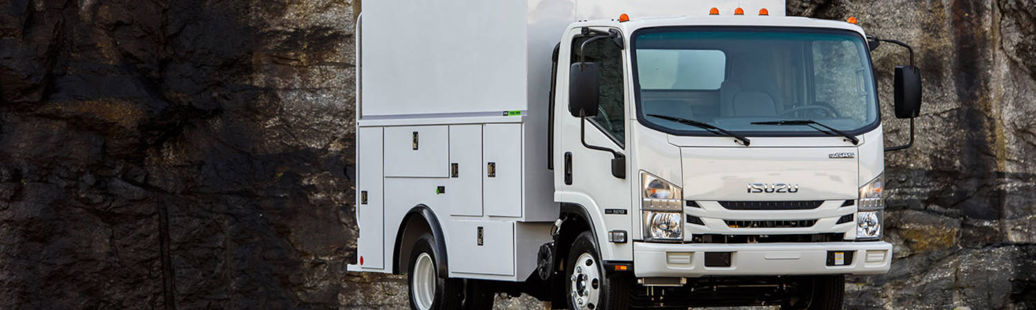 2021 Isuzu Trucks for sale in Bunch Truck Group, North Charleston, South Carolina